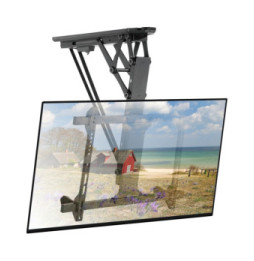 Techly 368680 Elektryczny uchwyt TV 32-70" sufitowy - B2B Netinet