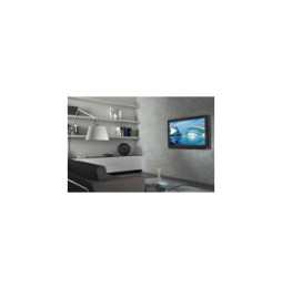 Techly 020621 Wieszak TV 23-55" ścienny slim - B2B Netinet