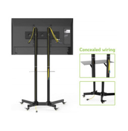 Stojak lcd 30-65' 150CM