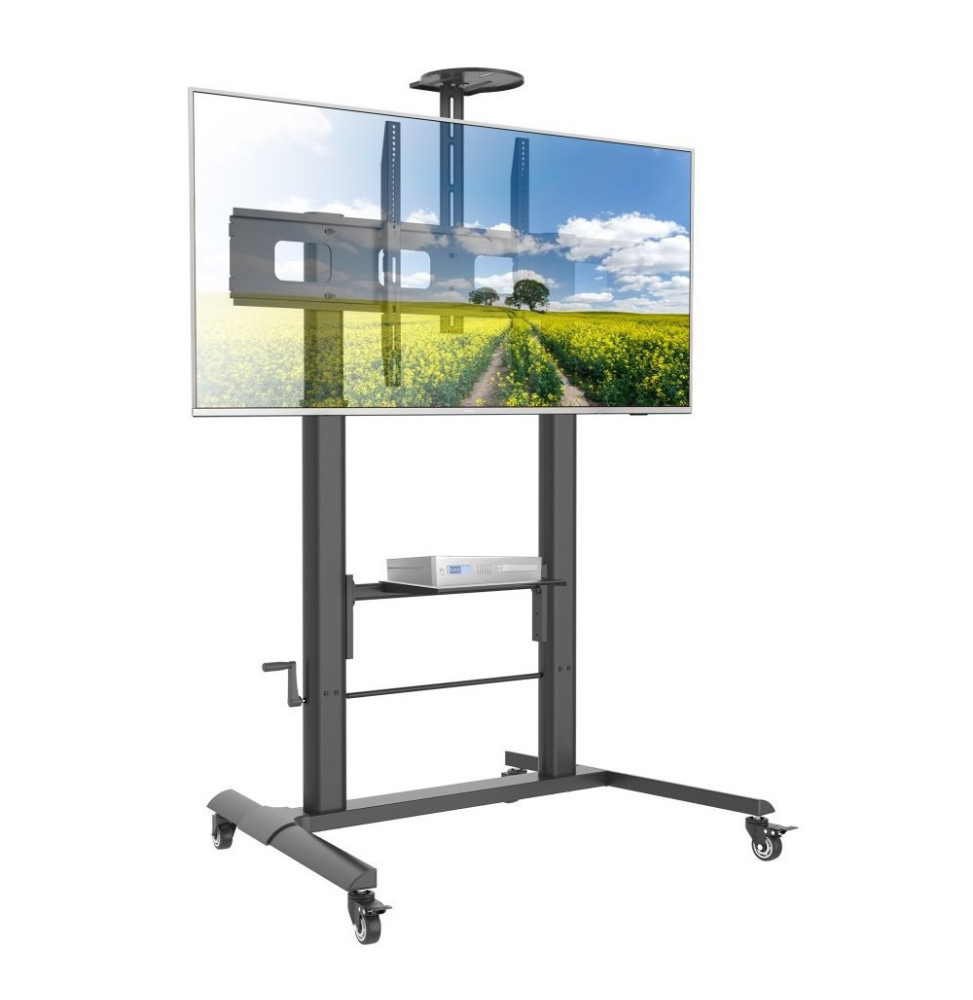 Techly Stojak do telewizora 52-100" na kółkach płynna regulacja wysokości