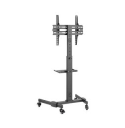 Stojak lcd 23-55' półka reg