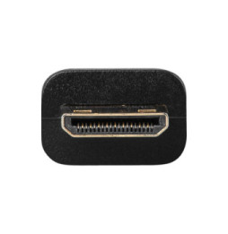 Adapter HDMI Mini-C na HDMI M/F